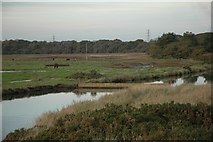 SZ4598 : Lepe marsh, Lepe beach by Robin Somes