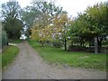 Public Footpath at Clifton Reynes