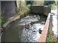 Under the railway bridge