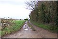 Track to the cottage at Ashwell Lodge.