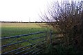 Fields near Ampney Sheephouse.