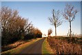 Green Road, Thorpe Morieux