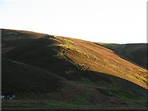 NT5455 : Hill fort and Thorny Cleugh by Richard Webb