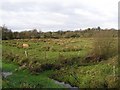 Ballybeg Townland