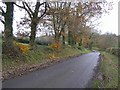 Road at Ballygittle