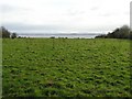 Lough Neagh at Back Lower