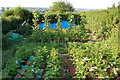 Allotment #57