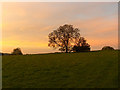 Barn and tree, Chantry