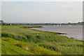 ST6093 : The banks of the Severn estuary near Oldbury by Tim