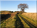 Disused Railway Line near Keith