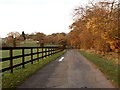 Hazeleigh Hall Lane