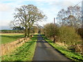 Minor Road Near Lochrigghead