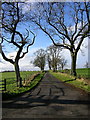 Road to Gillrig Farm