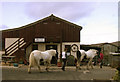 Bre-Pen farm shop and tea rooms.