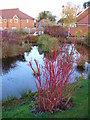 Pond at Merrow Place