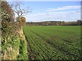 Farmland near Ford