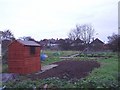 The allotments north of the Old Shoreham Road Portslade