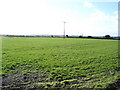 Field on Chapel Down Farm