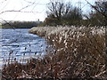 Lakeshore, Riverside Park