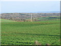 Farmland off  Pillar Lane