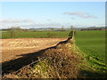 Fields Near Elshieshields