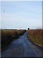 Road narrows by Bidcombe Cottages