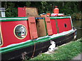 Narrowboat cat, Oxford canal