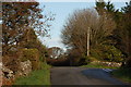 The old Downpatrick road near Crossgar