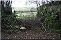 Blocked Field Gate