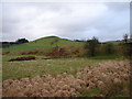 Pasture and rough grassland in Glan Marchnant