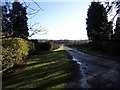 Driveway to Snelson Manor