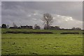 Field systems in the pasture near Evenlode