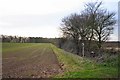 Footpath to Shelland