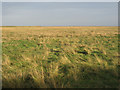 Saltfleetby - Theddlethorpe Dunes