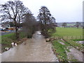 River Clwyd at Ruthin