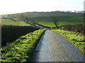 Treeswoodhead Road