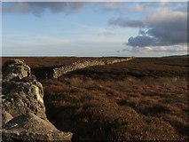 SE0766 : Drystone Wall across Hazel Gill Ridge. by Steve Partridge