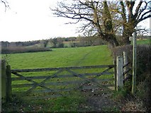 ST9480 : Footpath to Seagry Woods. by Roger Cornfoot