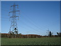 Pylons south of Fryern Court Wood