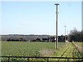 Footpath to Fryern Court