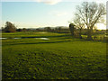 Flooded fields south of Crickheath with Breidden Hill in the distance