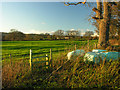 From stile and old tree looking towards East Farm, Crickheath