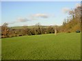 Withdean Park, looking North from the centre