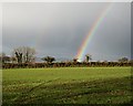 Rainbow over Farmland