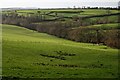 Valley near Bealbury