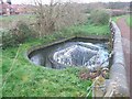 Canalside Overflow at Bumblehole Lock