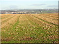 Grass and Stubble