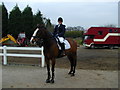 The Bold Equestrian Centre, Bold Nr. St. Helens