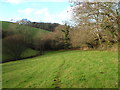 Bridleway down the Newton Stream valley