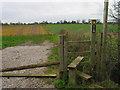 SJ7473 : Path across the fields, Lower Peover by Ian Nadin